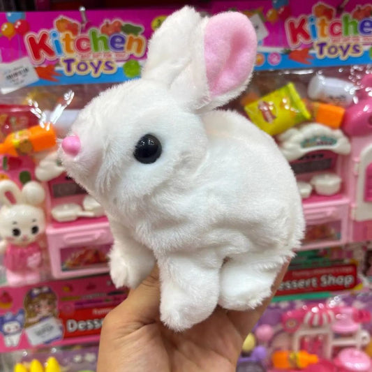 🐰 أرنب السعادة لطفلك – متعة، حركة، وفوائد صحية! اشترِ 2 واحصل على الثالث مجاناً! 🎁🔥"